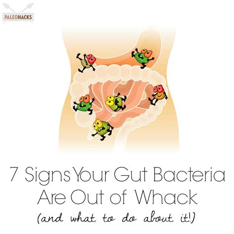Signs Your Gut Bacteria Are Out Of Whack Gut Bacteria Plexus Products Health