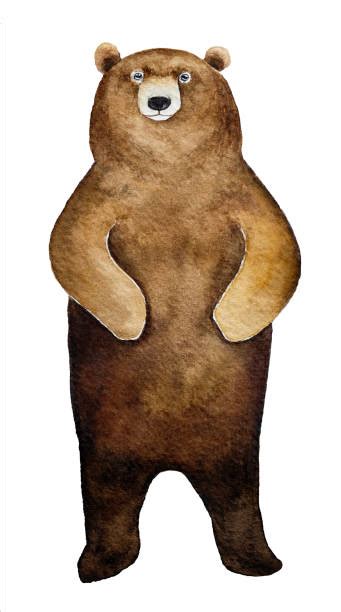 Clip Art Standing Bear