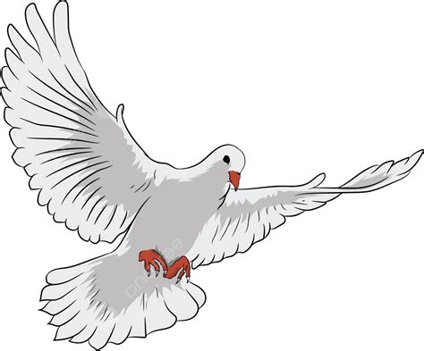 White Dove Vector Bird Pigeon Holy Spirit Dove Png And Vector With