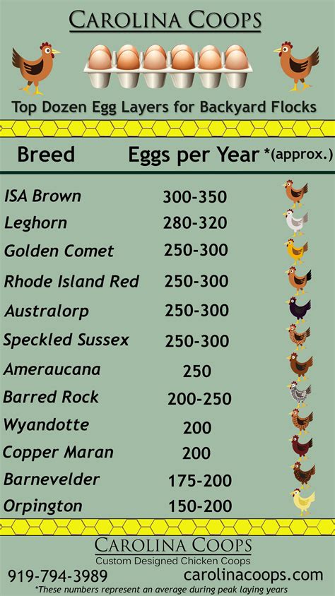Foods You Should Never Feed Your Chickens Artofit