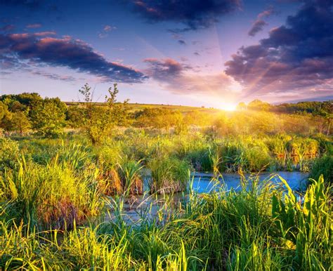 Beautiful Summer Landscape On Backwater Stock Image Image Of Leaf