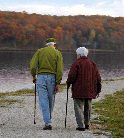 Importancia Caminar Adulto Mayor Caminar Anciano Caminar Mayor