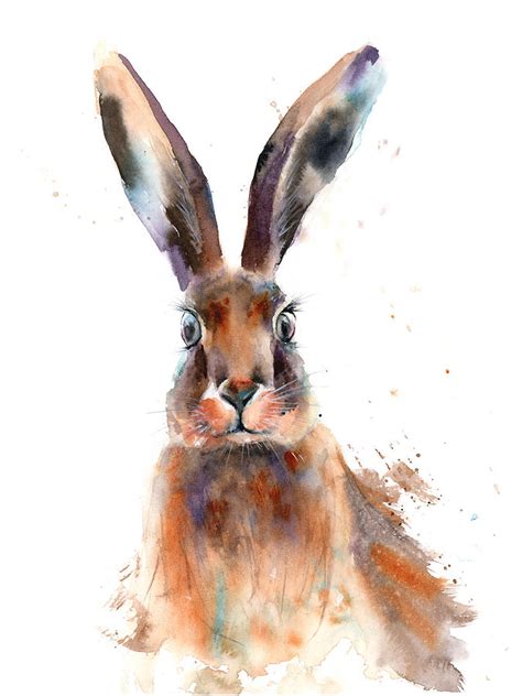 Watercolor Rabbit Painting By Paintis Passion Fine Art America
