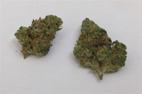 Sour Og Why Colorado Tokers Love This Strain Westword