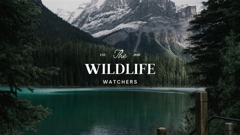 Minimalist Photo Nature Youtube Banner Templates By Canva