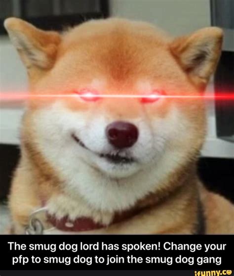 Meme Dog Pfp