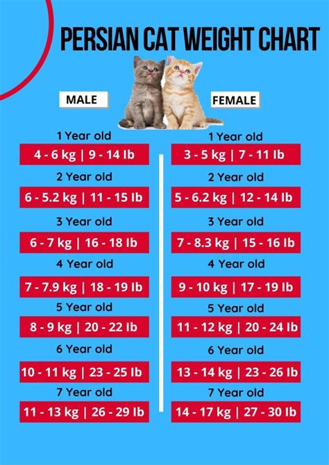 Cat Weight Chart By Breed Cat Meme Stock Pictures And Photos