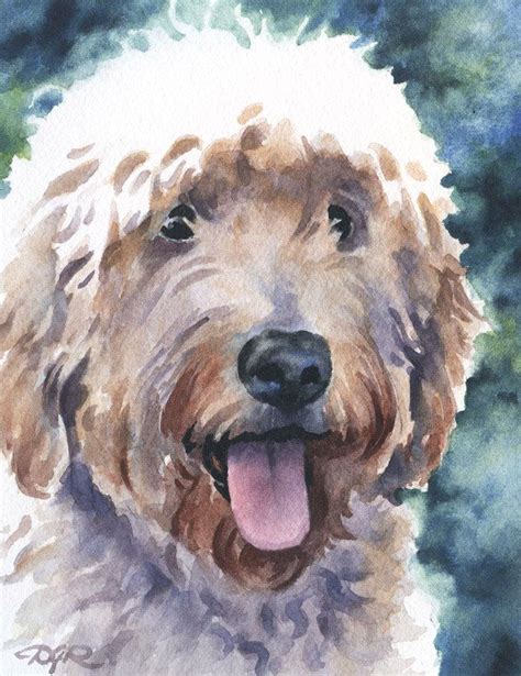 Goldendoodle Dog Watercolor Signed Fine Art Print By Artist Dj Rogers