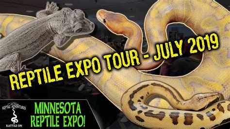 Minnesota Reptile Expo Youtube
