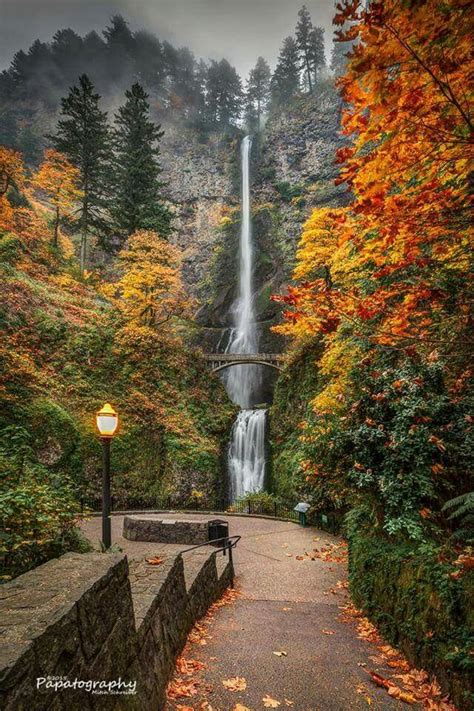 Multnomah Falls Fall Foliage Places To Travel Beautiful Places Places To Visit