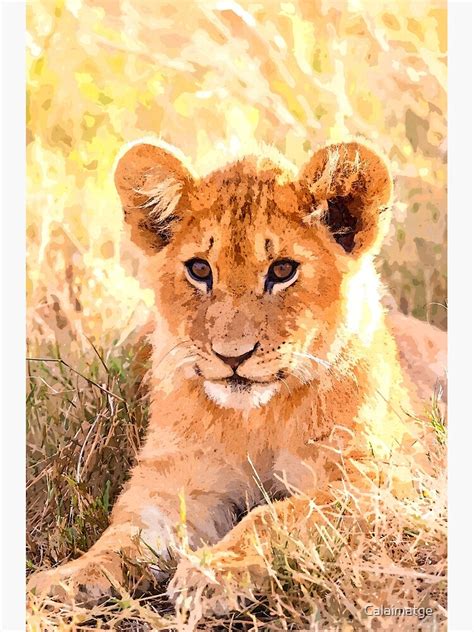 Cute Lion Cub Digital Watercolor Painting Poster For Sale By