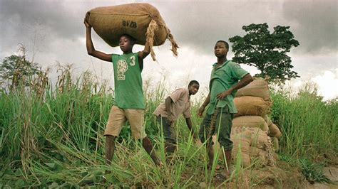 Hershey Nestlé Mars And Other Chocolate Makers Named In Child Slavery