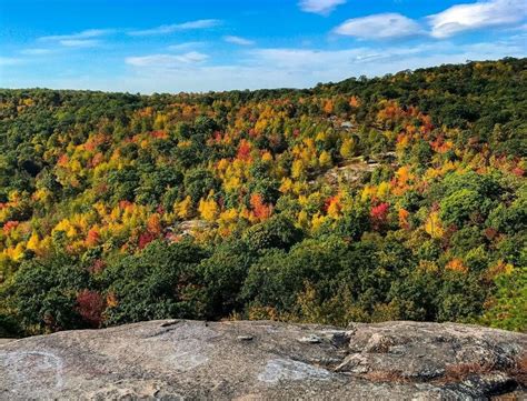 The Best Places For Fall Foliage In New Jersey New Jersey Digest