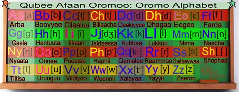 Voices For Voiceless Qubee Afaan Oromoo The Oromo Alphabet