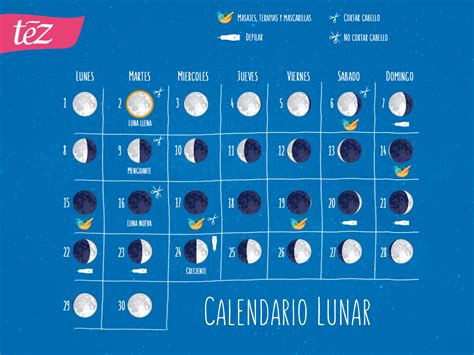 Fases Lunares Y El Cuidado De Tu Cabello Lunares Cabello Calendario