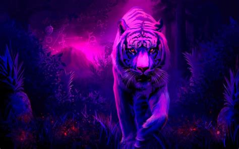 Tiger Wallpaper Purple Hd Desktop Wallpapers 4k Hd