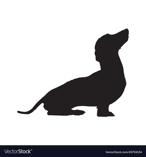 Dachshund Dog Silhouette Royalty Free Vector Image