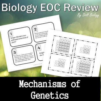 Some images used in this set are licensed under the creative commons through flickr.com. Biology STAAR Review - Mechanisms of Genetics by DrH Biology | TpT