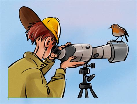 Birding Clipart 20 Free Cliparts Download Images On Clipground 2024