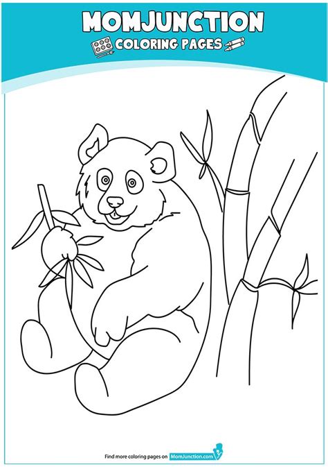 Panda Bear Eating Bamboo 17 Coloring Page Coloring Pages Panda