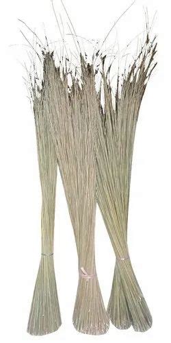 Broom Grass At Best Price In India