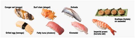 Kinds Of Sushi Sashimi Sushi Fish Types Hd Png Download