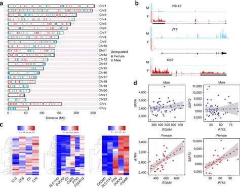 Identification Of Sex Biased Genes From Human Skin Biopsies A
