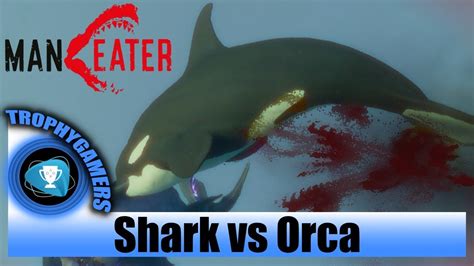 Maneater Shark Vs Orca Gameplay Youtube
