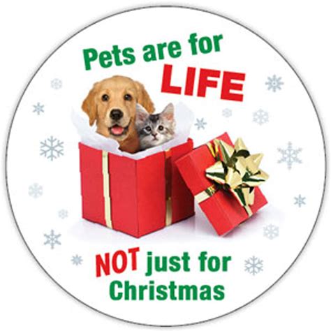 Pet dental hygiene is often overlooked by pet owners, but it is essential to their overall. Pets Are For Life Not Just For Christmas - Circle Magnet ...