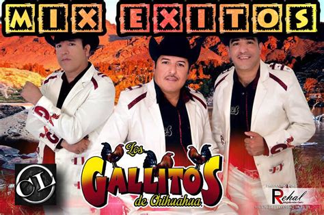 Musia Sierreña 100 Mix Exitos Los Gallitos De Chihuahua