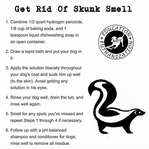 How Do U Get Rid Of Skunk Smell On Dogs