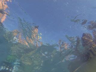 Voyeur Underwater Swimsuit Tracking Ymuw On Voyeur