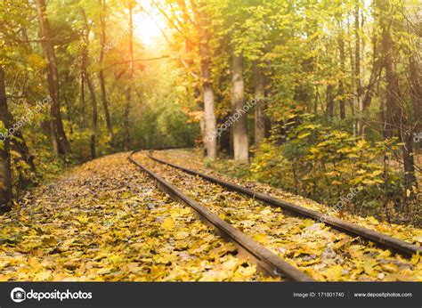 Railroad In Autumn Forest — Stock Photo © Viktoriasapata 171801740