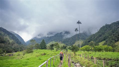 Cocora Valley 1 Day Páramo Trek