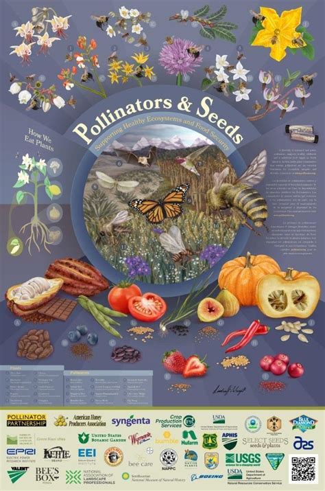 Posters Pollinators Poster Pollination Pollinator Week