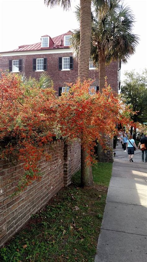 Walking Charleston — The Best Times To Visit Charleston