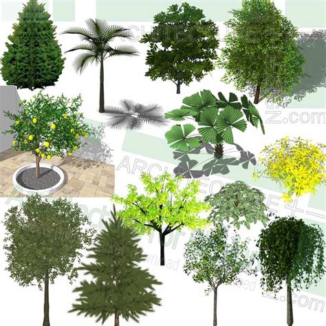 Trees Shrubs And Flowering Plants Sketchup 3d Models For Landscape