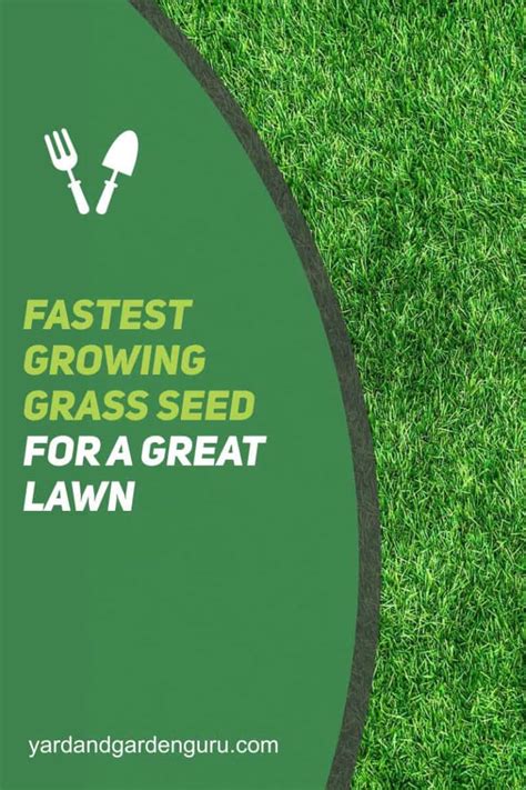 Fastest Growing Grass Seed For A Great Lawn