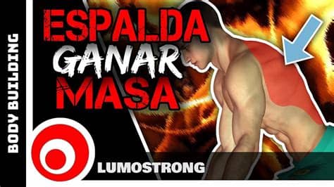 A la hora de comenzar esta rutina de un mes. Rutina Para Espalda Con Mancuernas En Casa - Volumen ...