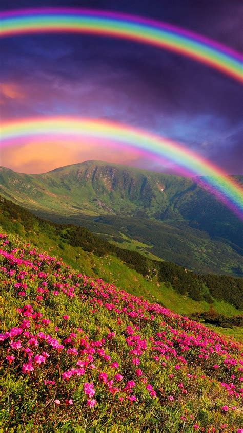 Beautiful Rainbow Wallpapers 4k Hd Beautiful Rainbow Backgrounds On