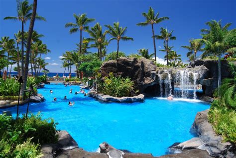 Pool In Paradise Free Photo Download Freeimages