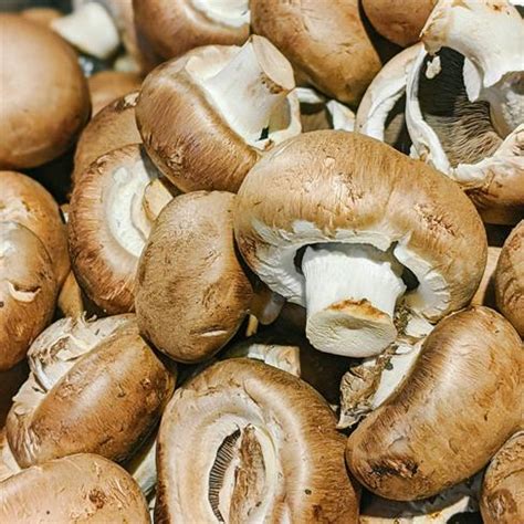 Mushrooms/ chestnut mushroom 200g (7 oz) portobello mushrooms 40g (1.4oz) 2. Chestnut Mushrooms - Farndon Fields