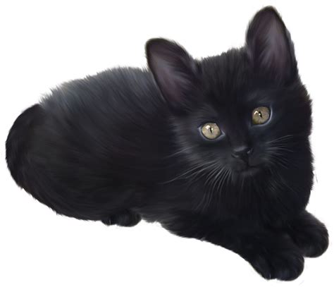 Black Kitten Transparent Background 12893813 Png