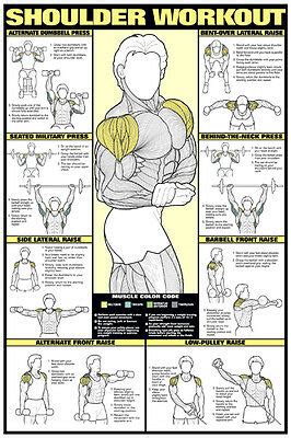 Specific back and abdominal exercises that strengthen the back and abdominal muscles can help most back pain, especially that is unfortunate, because the back muscles and abdominal muscles, sometimes referred to as core muscles, tend to weaken with age unless specifically exercised. SHOULDER WORKOUT WALL CHART Professional Strength Training ...