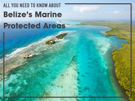 All You Need To Know About Belizes Marine Protected Areas Sandy