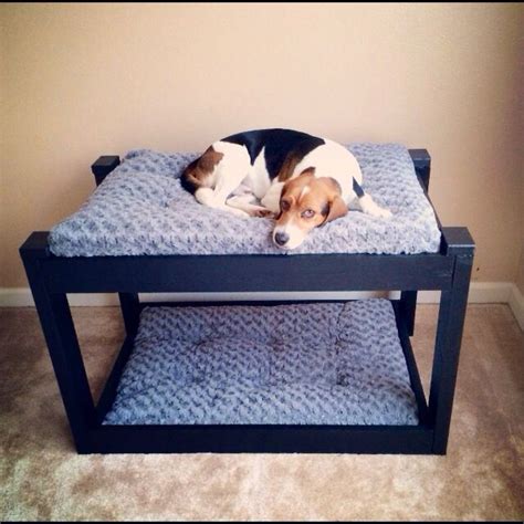 Diy Dog Bunk Bed My Boyfriend And I Made Dog Bunk Beds Pet Beds Diy