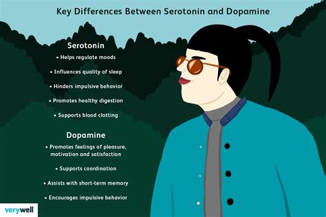 Serotonin Vs Dopamine Function And Comparison