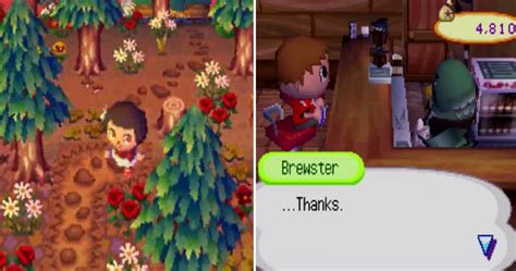 Heres Why Animal Crossing Wild World Was The Best In The Series