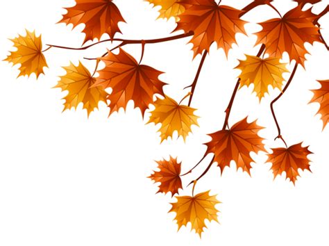 Animated Falling Leaves  Transparent Weather Animated Clipart