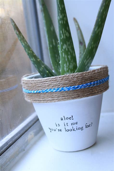 When selecting a pot for a christmas cactus, be sure to choose one that has a drainage hole in the bottom. Plant themed puns! Check the whole store for more! www ...